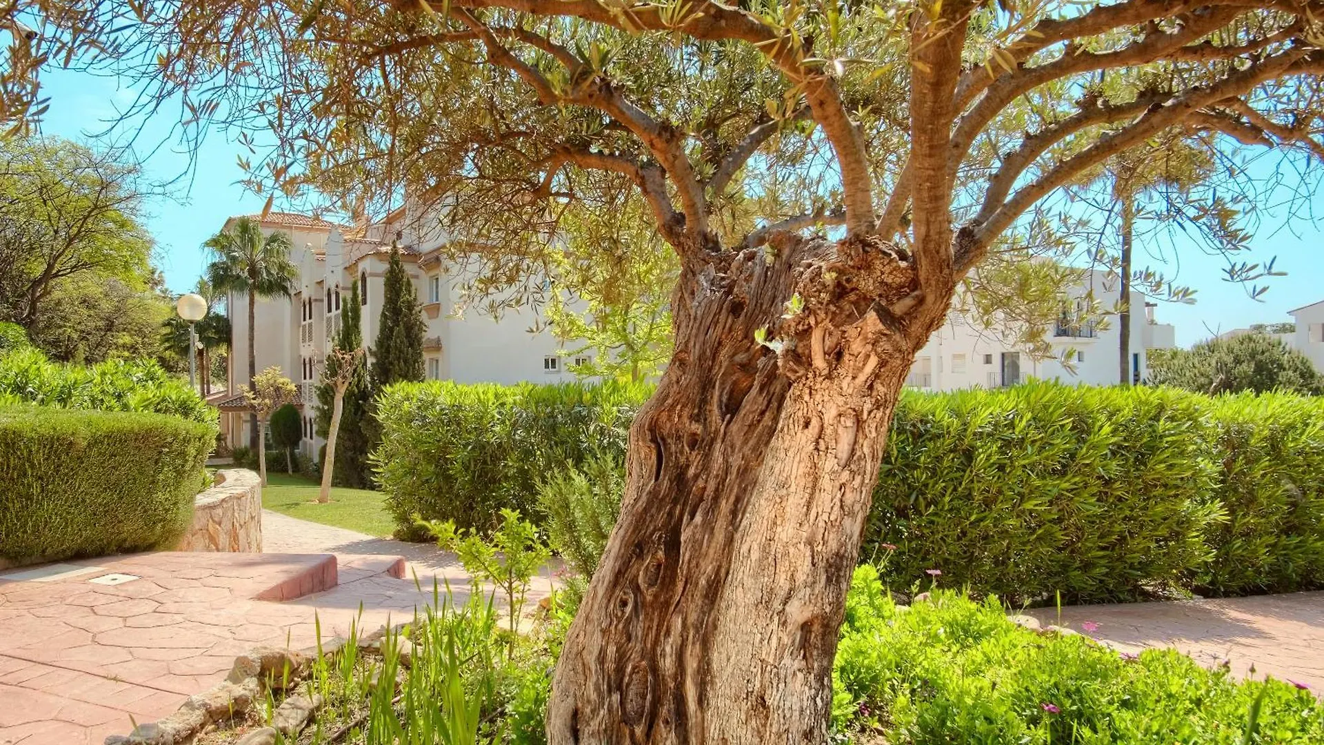 Oasis La Cala 2, Beautiful Terrace ,Pools, Parking Apartment La Cala De Mijas 0*,